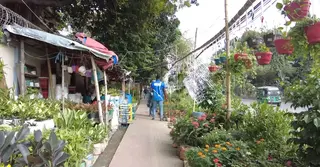 রাজধানীর ফুটপাত দখল করে নার্সারি ব্যবসা; কোন ক্ষমতাবলে?